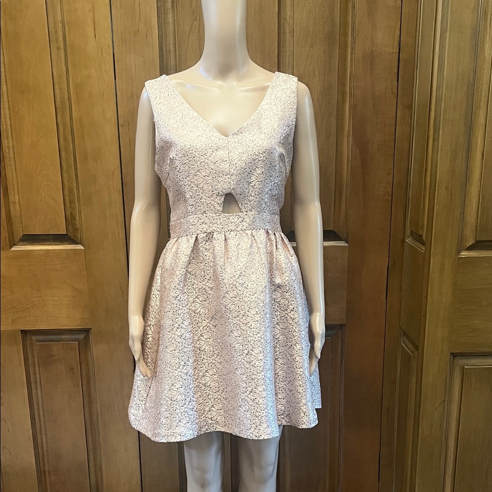 ANINA pale pink and silver evening dress.  
SZ L
35” L
 18”Pit to pit
Waist 32”